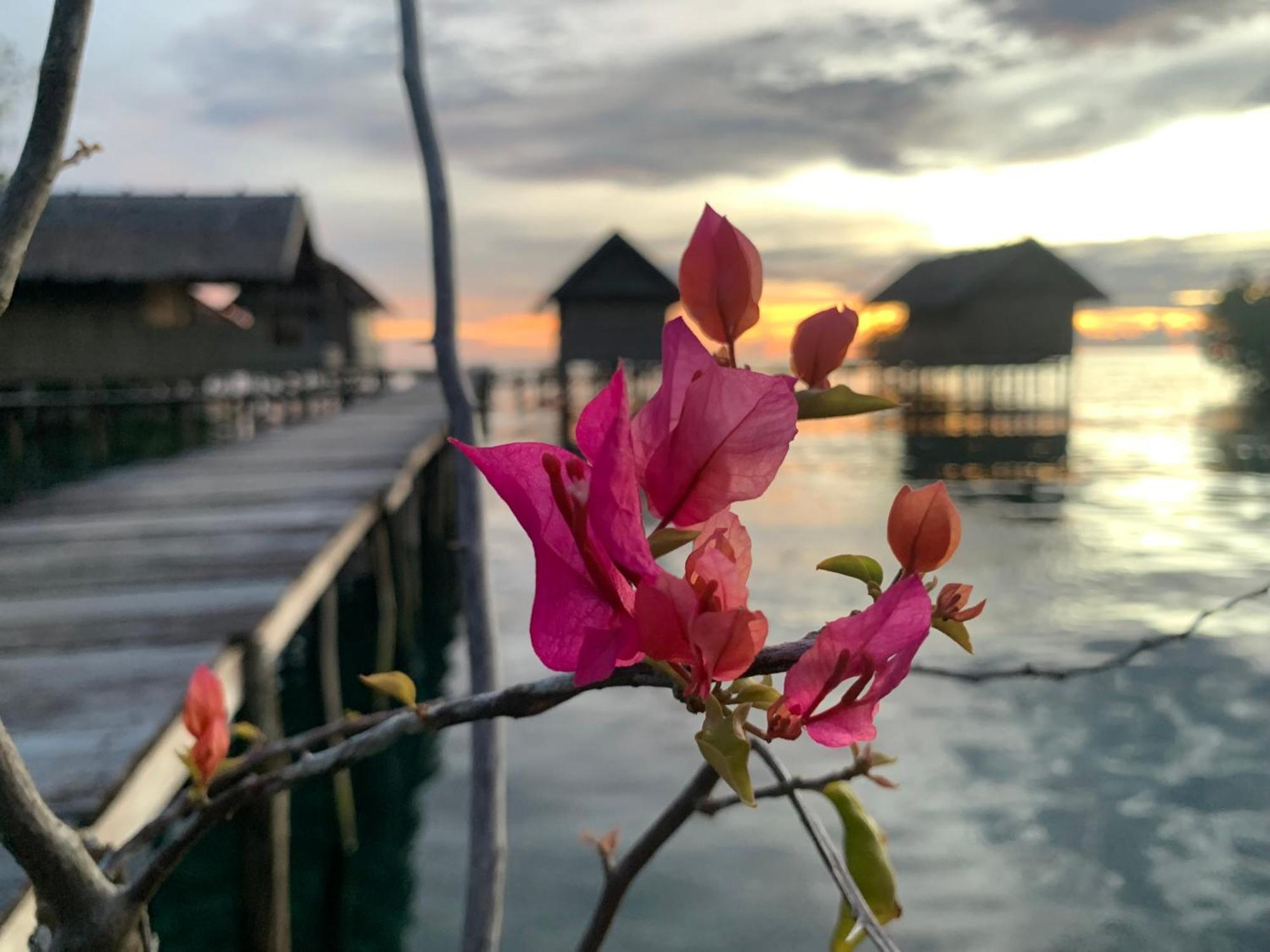 Nyanse Homestay - Raja Ampat Besir Exterior photo